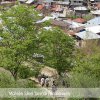 sanei_ir-kandelous-village 229